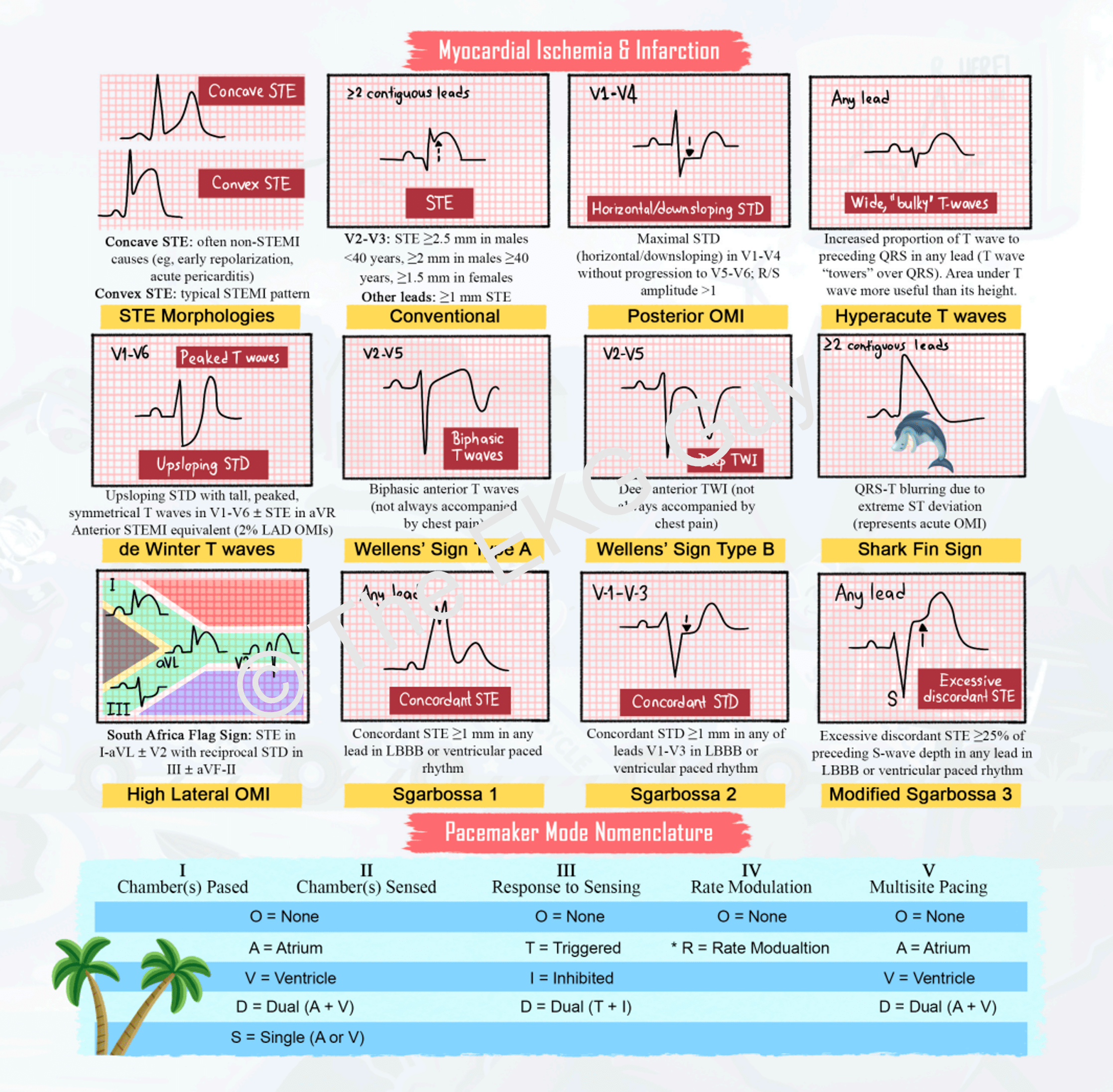 My First EKG Book: Super Cycle